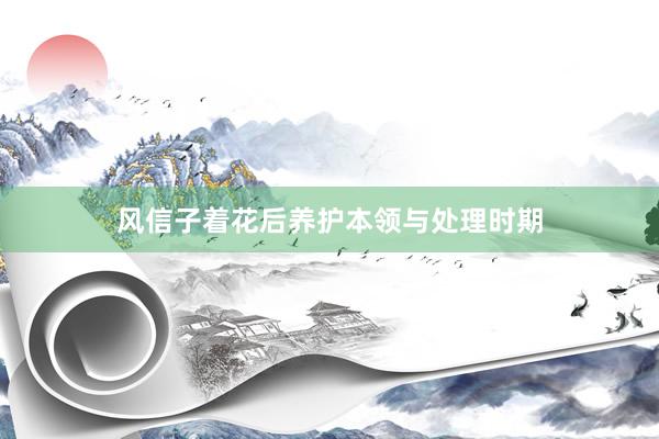 风信子着花后养护本领与处理时期